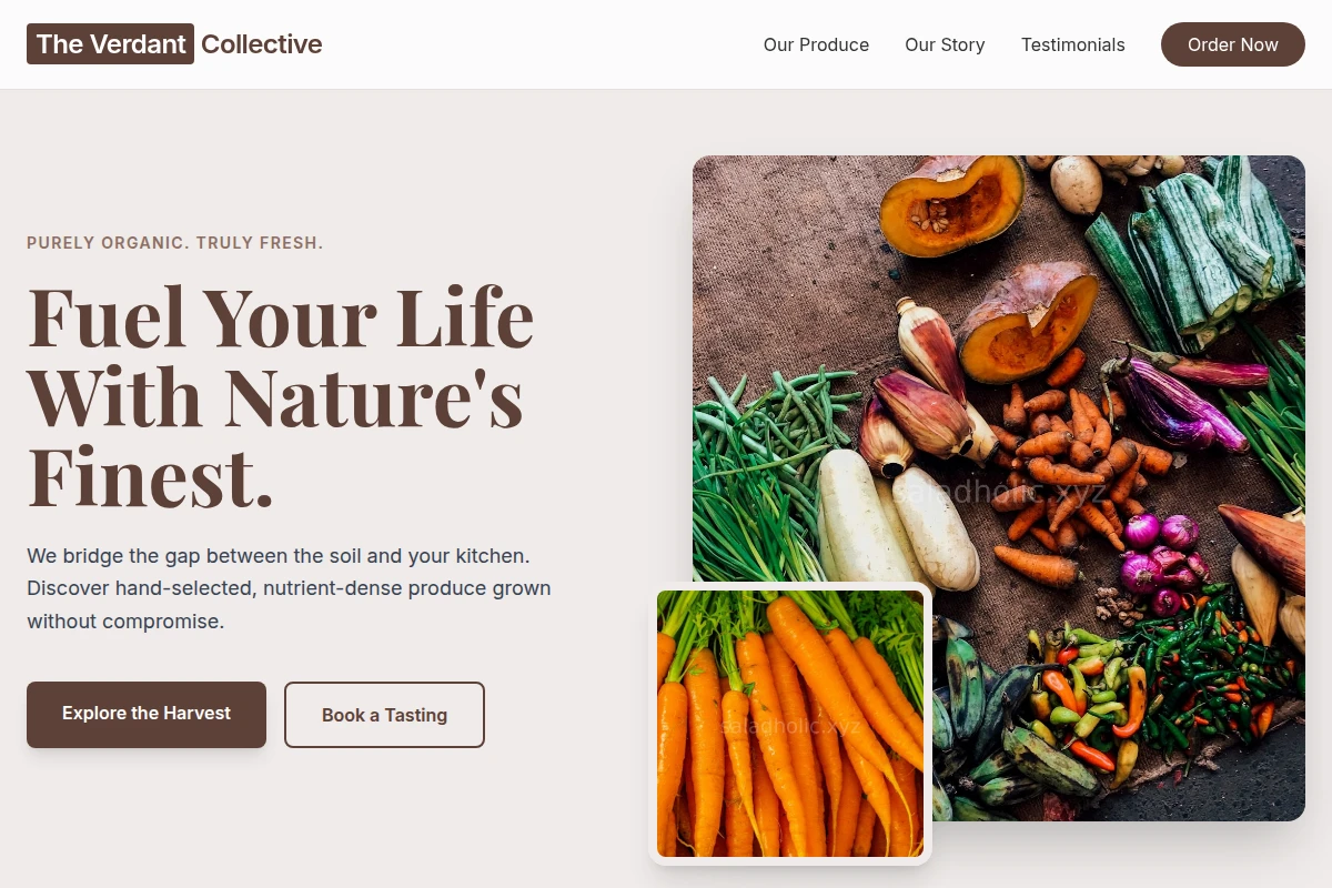Nutritious Organic Food