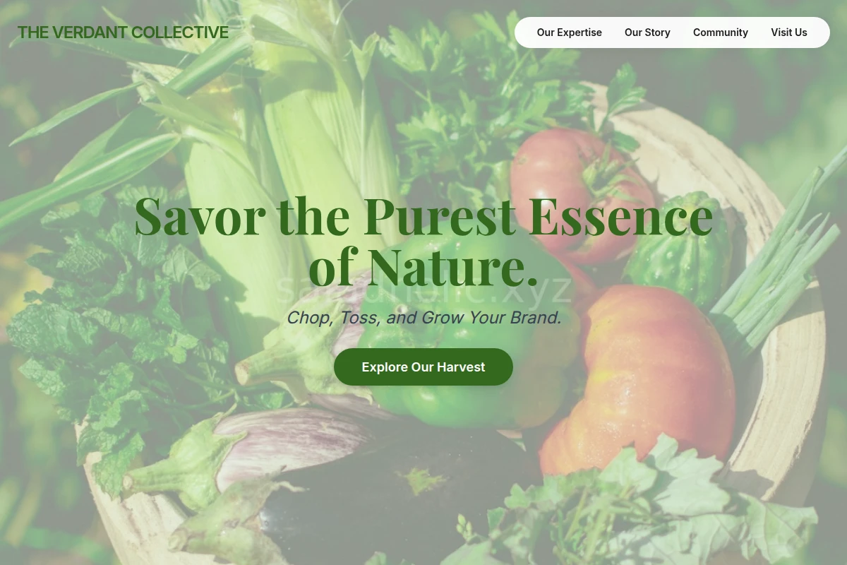 Cucumber Organic Food